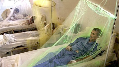 Dengue and Congo fever