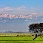 Sialkot Mountains