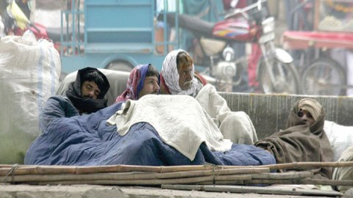 Dense fog, cold wave to persist during the week