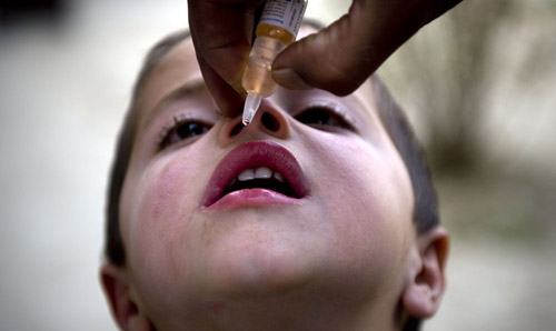 Polio virus