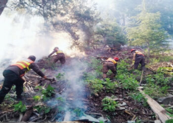 Fire erupts in Chitral Gol National Park