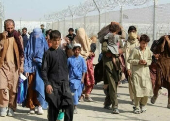 afghan refugees