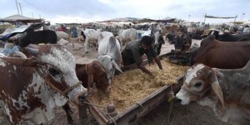 Govt announces Eid ul Adha 2026 holidays