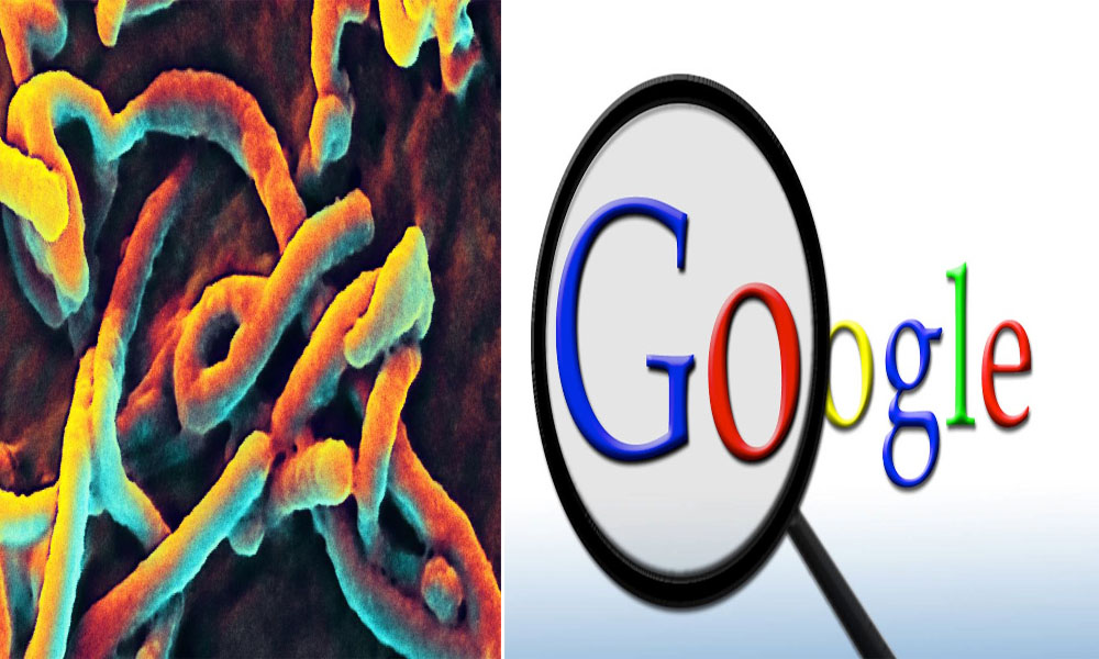 Google Fight Ebola